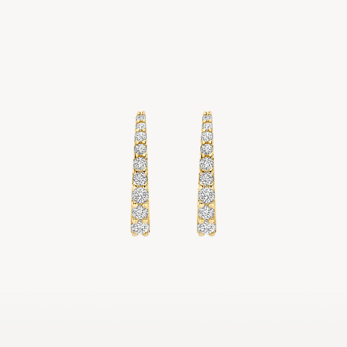 Blush Oorringen 14kt Goud 7342YZI