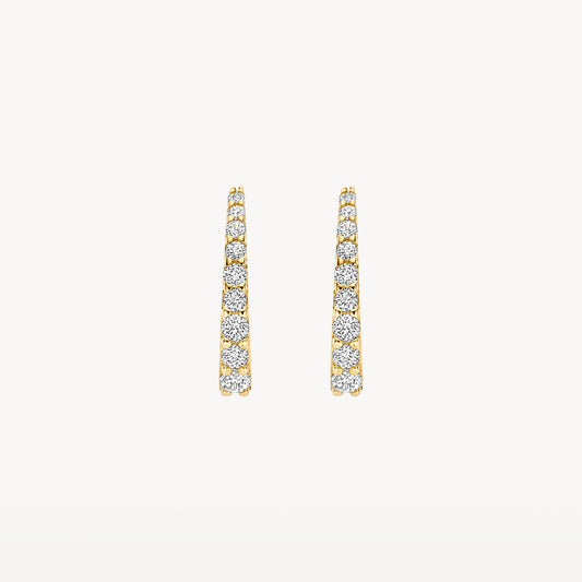 Blush Oorringen 14kt Goud 7342YZI