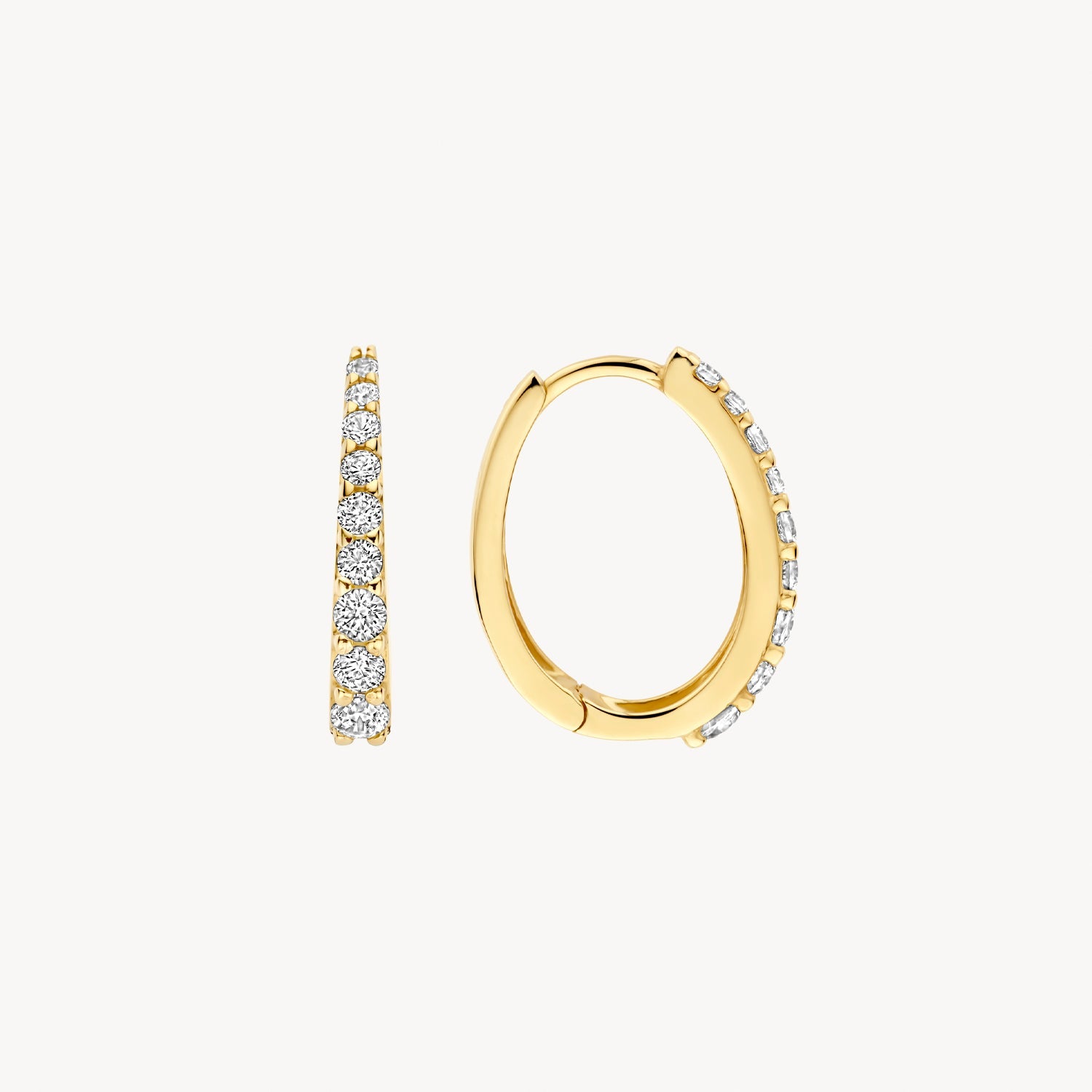 Blush Oorringen 14kt Goud 7342YZI