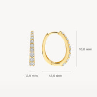 Blush Oorringen 14kt Goud 7342YZI