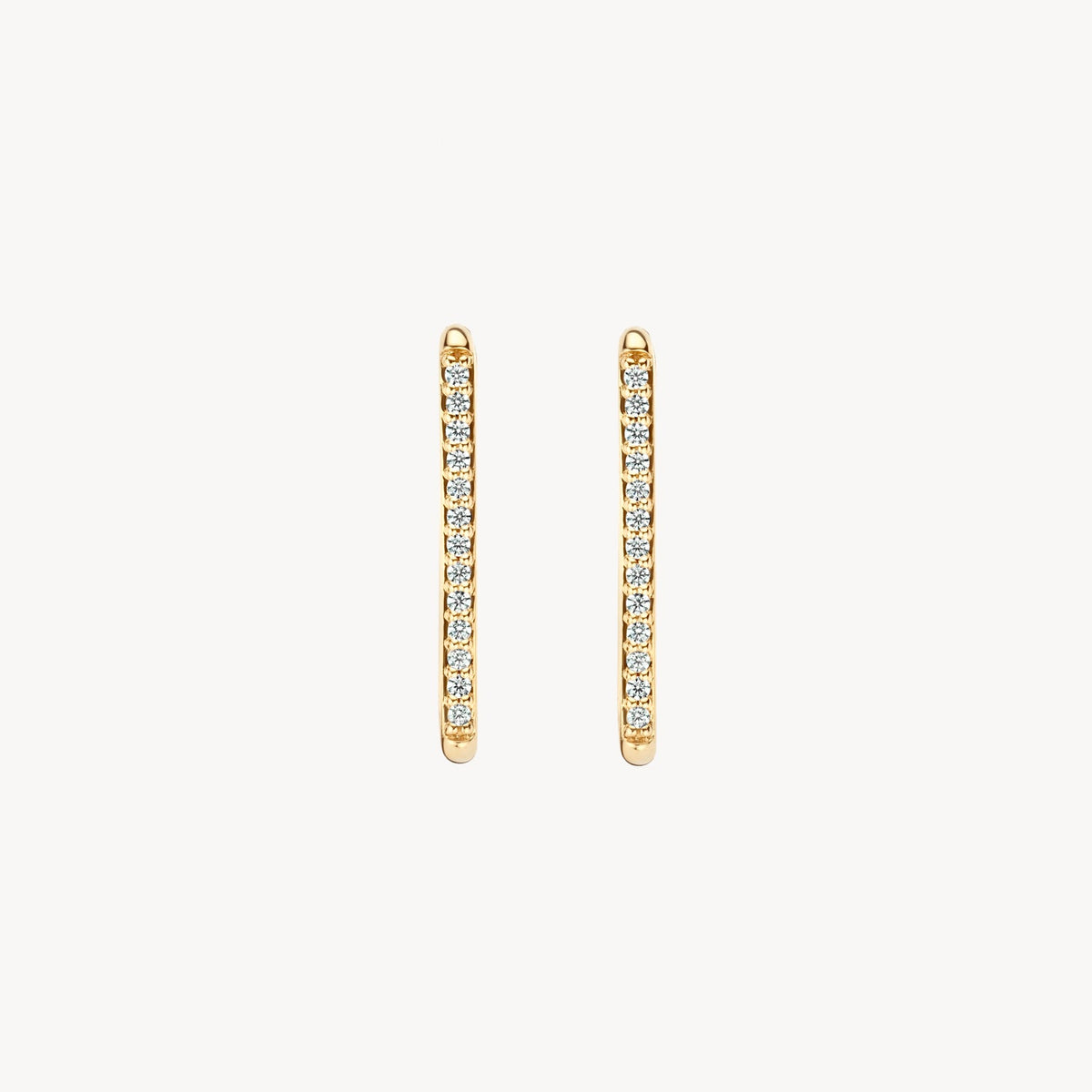 Blush Oorringen 14kt Goud 7343YZI