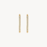 Blush Oorringen 14kt Goud 7343YZI