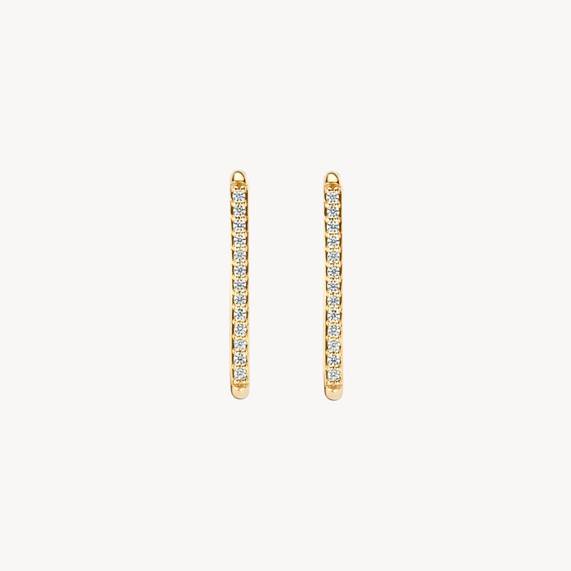 Blush Oorringen 14kt Goud 7343YZI