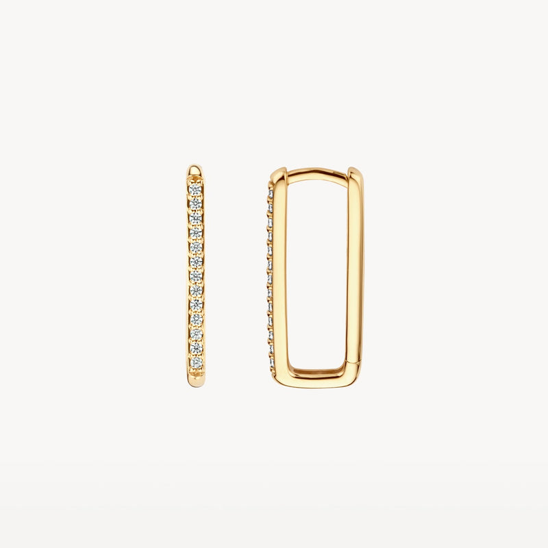 Blush Oorringen 14kt Goud 7343YZI