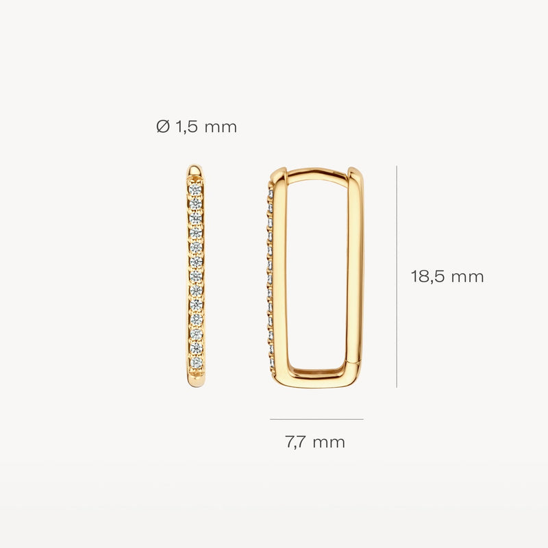 Blush Oorringen 14kt Goud 7343YZI