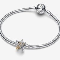 Pandora Bedel Ster 763590C01