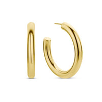 CO88 Collection Stalen Oorringen Goud 8CE-70439