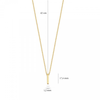 Blush Ketting 14kt Goud 3093YGO