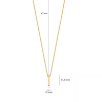 Blush Ketting 14kt Goud 3093YGO