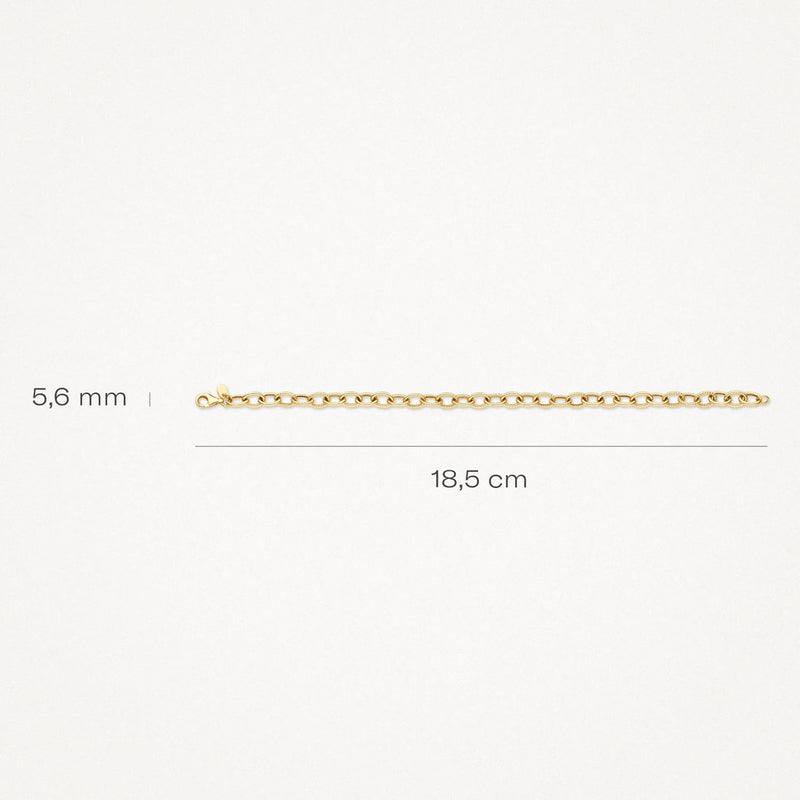 Blush Armband 14kt Goud 2255YGO