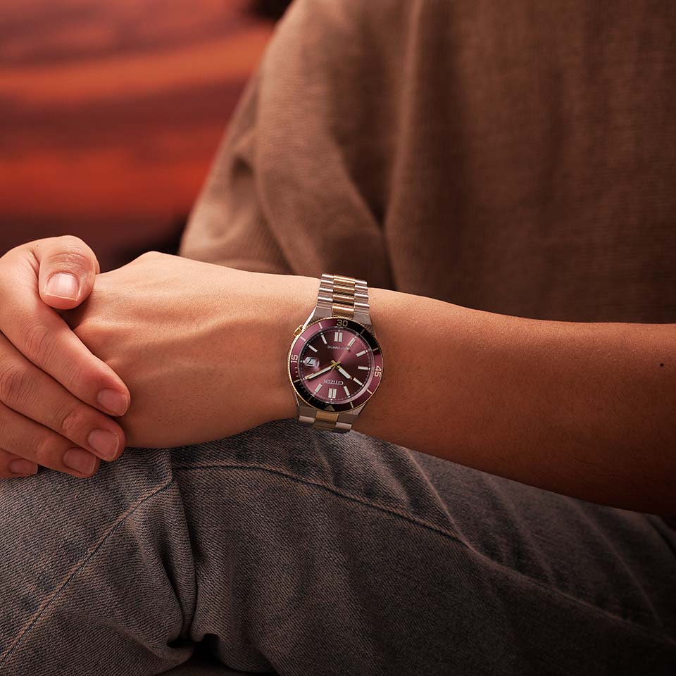 Citizen Tsuyosa Shore NJ0232-58X