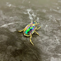 Swarovski SCS Gift 2024 Kever 5668994