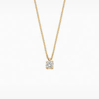 Blush Ketting 14kt Goud LG3010Y