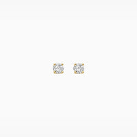 Blush Oorknoppen 14kt Goud LG7001Y