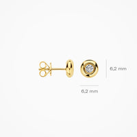 Blush Oorknoppen 14kt Goud LG7004Y