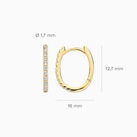 Blush Oorringen 14kt Goud LG7007Y