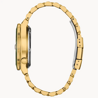 Citizen Tsuyosa Shore NJ0232-53X