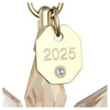 Swarovski Annual Edition 3D Ornament Festive 2025 5701505