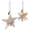 Swarovski Annual Edition Festive 3D Ornament Set 2025 5701824