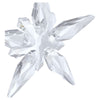 Swarovski Annual Edition Ornament Little Star 2025 5701825