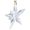 Swarovski Annual Edition Ornament Little Star 2025 5701825