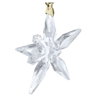 Swarovski Annual Edition Ornament Little Star 2025 5701825