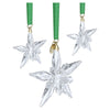 Swarovski Annual Edition Ornament Set 2025 5701854