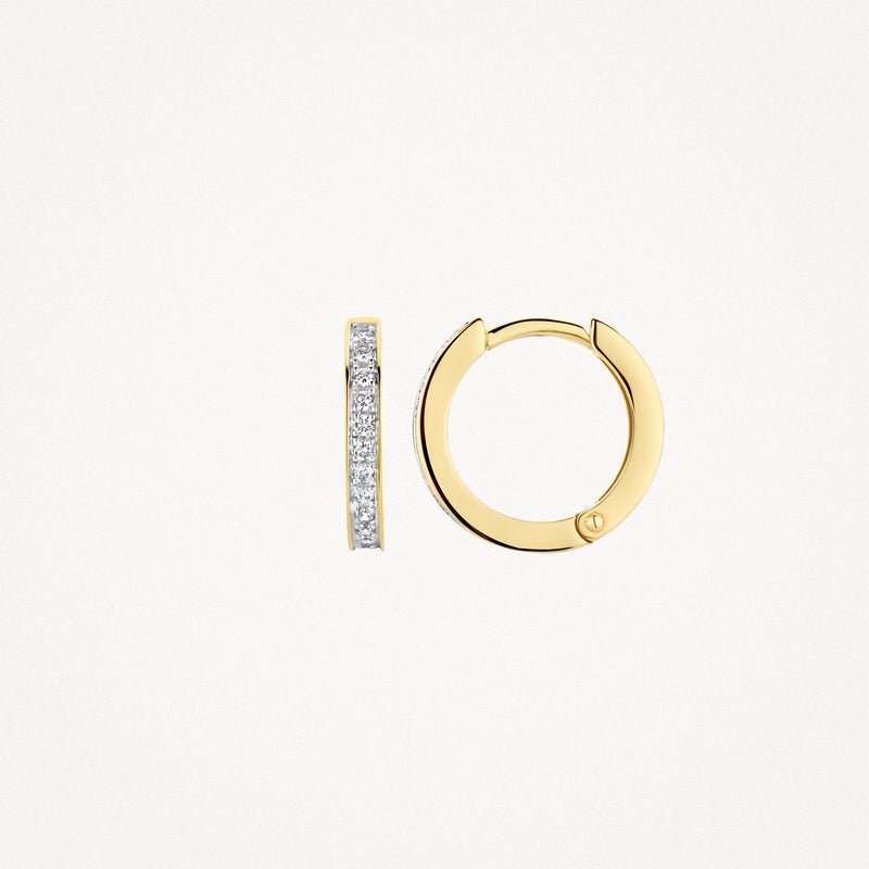 Blush oorsieraden goud 7163BZI