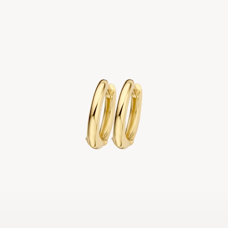 Blush oorsieraden goud 7217YGO