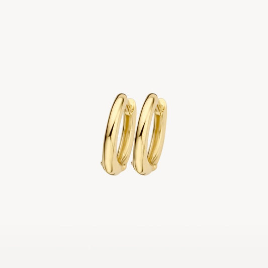 Blush oorsieraden goud 7217YGO