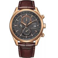 Citizen Radio Controlled AT8263 - 10H