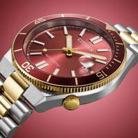 Citizen Tsuyosa Shore NJ0232-58X