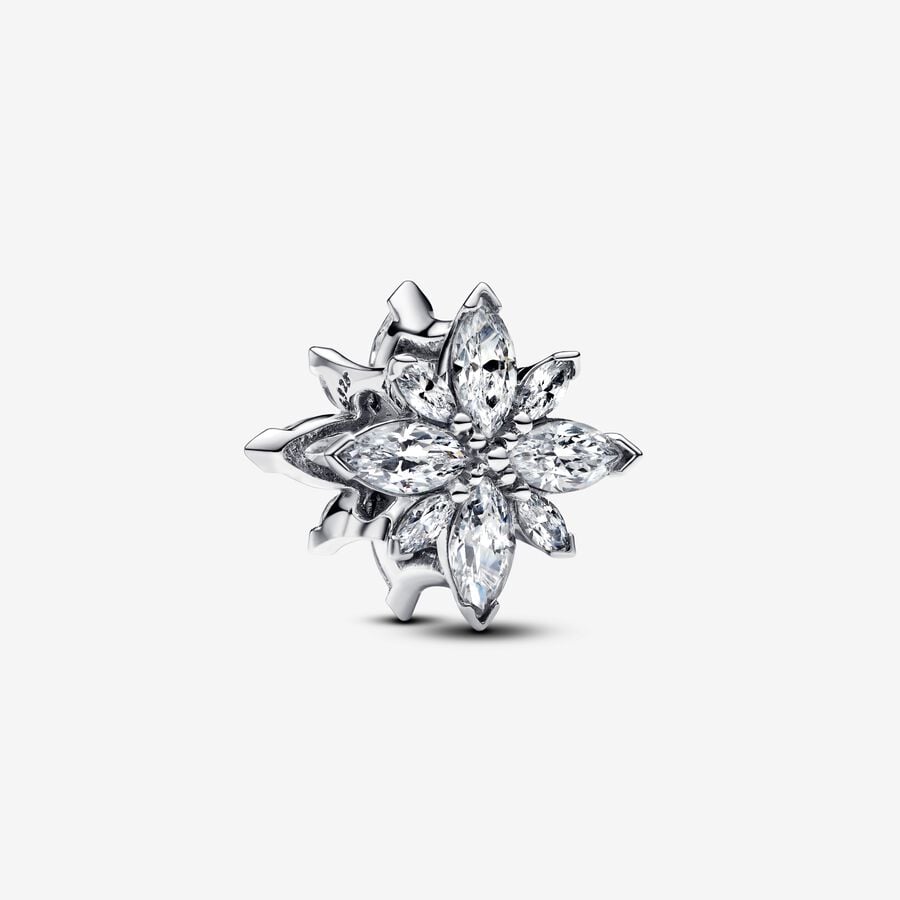 Pandora Bedel Poolster 793591C01