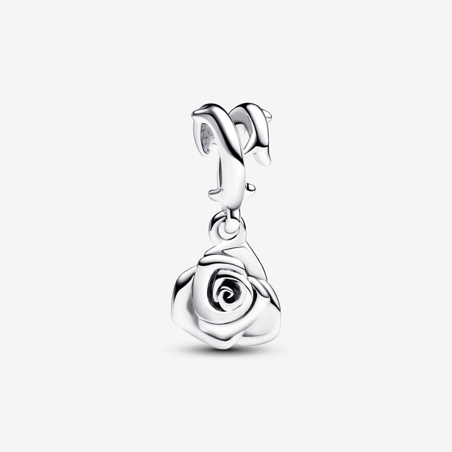 Pandora Bedel Roos in Bloei 793213C00
