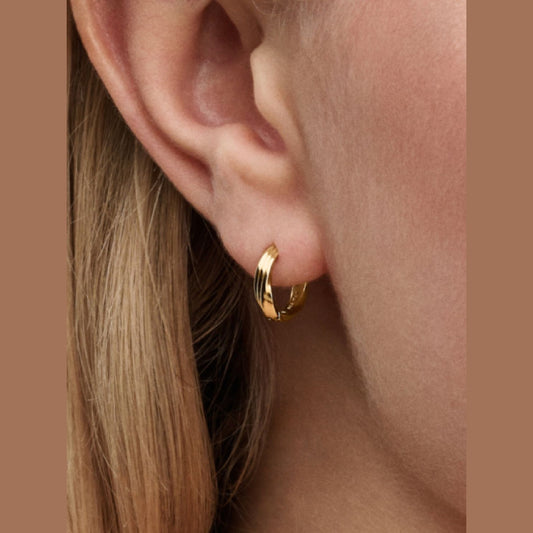 Pandora Gedraaide Huggies Oorringen 263871C00 - Juwelier van Dam