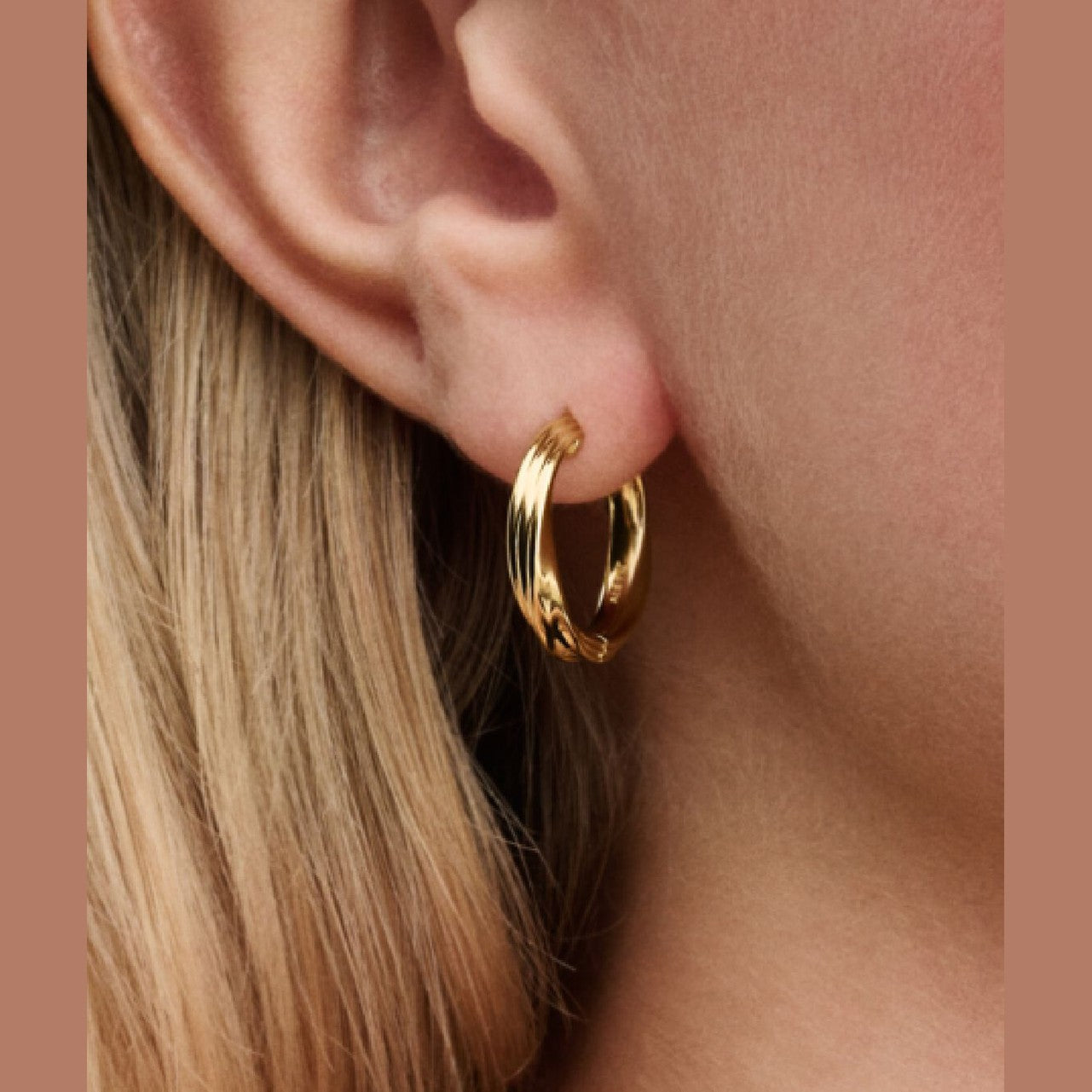 Pandora Gedraaide Oorringen 263878C00 - Juwelier van Dam