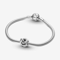 Pandora Moments Bedel Family Always Encircled Harten 791507C00