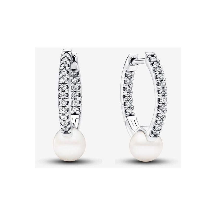 Pandora oorsieraad 293171C01