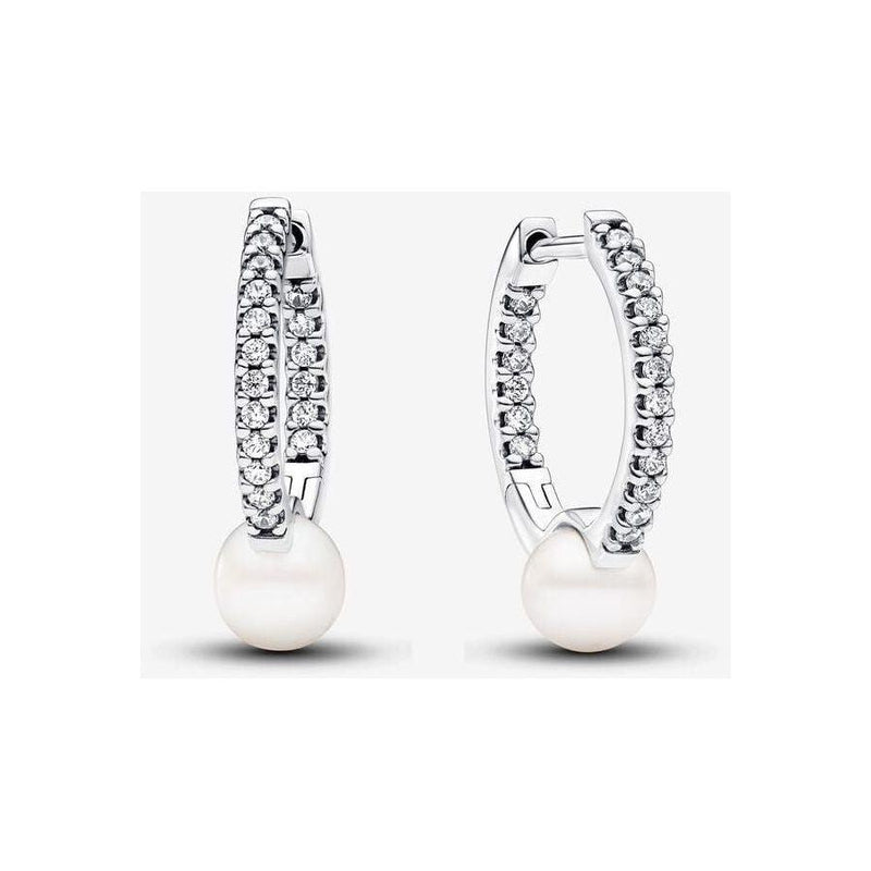 Pandora oorsieraad 293171C01