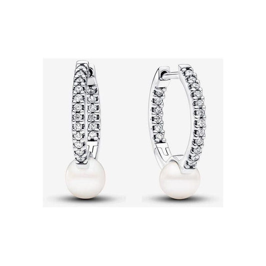 Pandora oorsieraad 293171C01