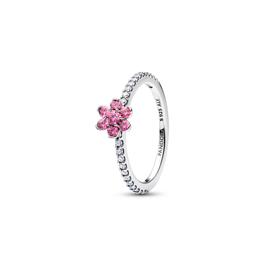 Pandora Timeless Ring 194499C02-54