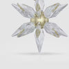 Swarovski Annual Edition 3D Ornament 2025 5701506