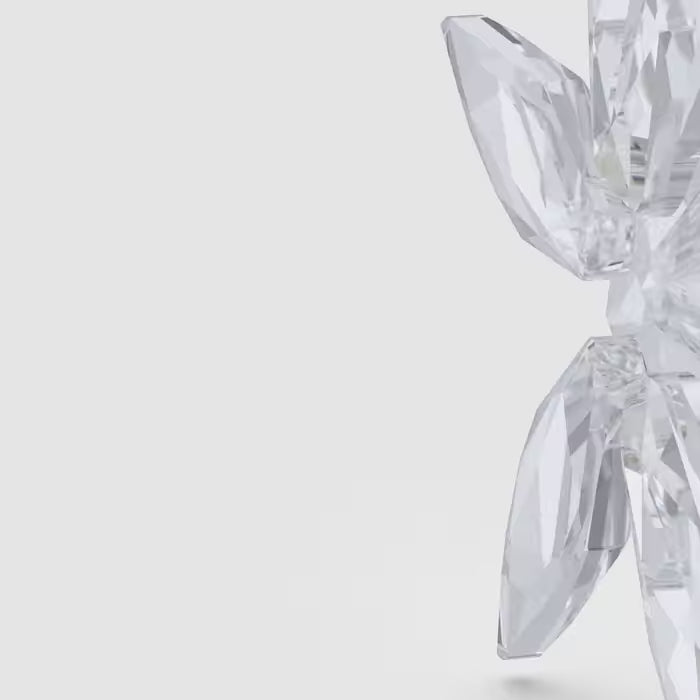 Swarovski Annual Edition 3D Ornament Set 2025 5701628