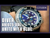 Citizen Promaster 'Sea of Silence' BN1025-08L