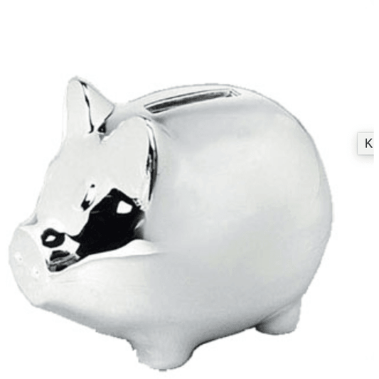 Spaarpot varken 06314