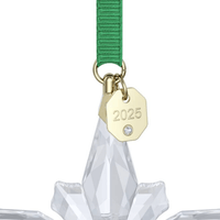 Swarovski Annual Edition Ornament 2025 5691172