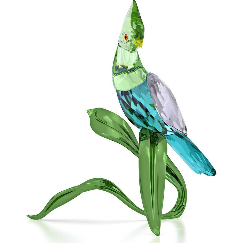 Swarovski Idyllia Groene Toerako 5693147