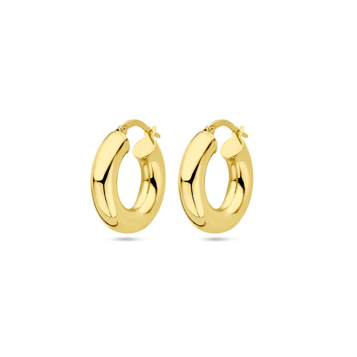 vDam 14k Geelgouden Oorringen 4030121