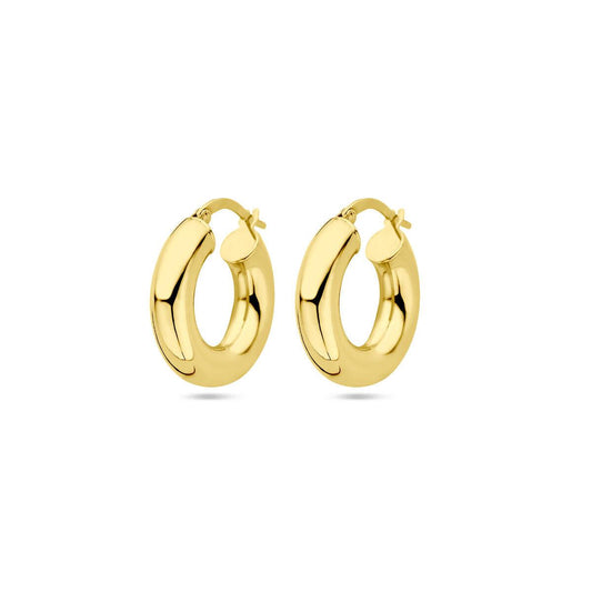 vDam 14k Geelgouden Oorringen 4030121