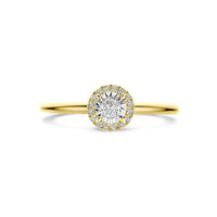 vDam 14k Geelgouden Ring met Diamant 4209003
